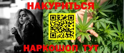 сатива Обнинск