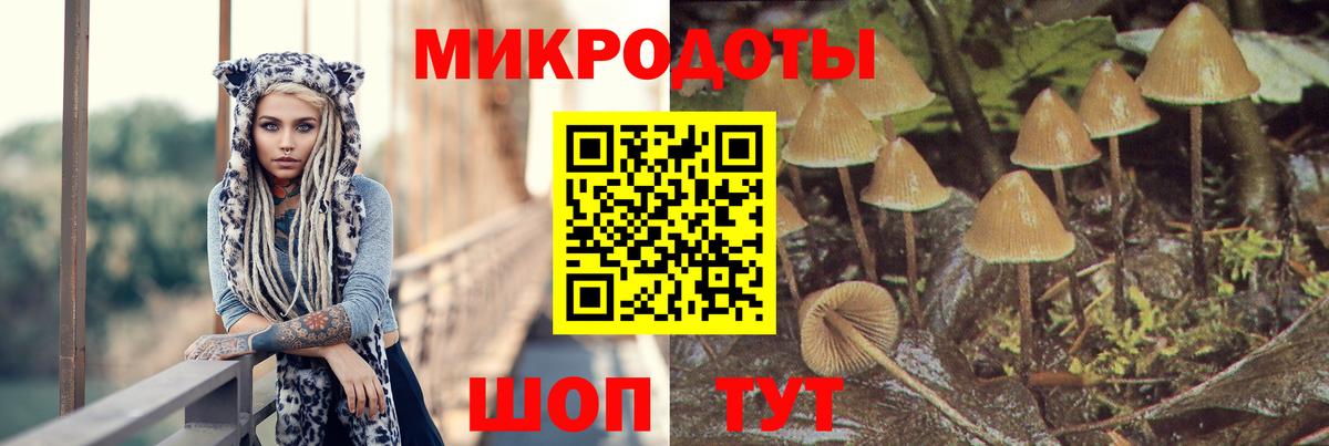 Галлюциногенные грибы GOLDEN TEACHER  Псилоцибиновые грибы Psilocybine cubensis  Пермь  Вход с VPN 